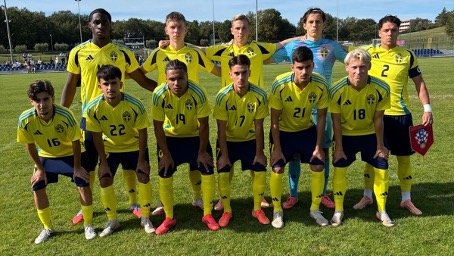 Kennedy Okpaleke (øverst t.v.) var i Kroatia med Sverige.